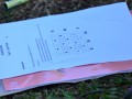 Tn DSC 1875